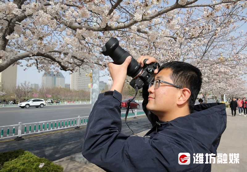 张记者拍照啦 你在给樱花拍照我在拍泛亚电竞你(图2)