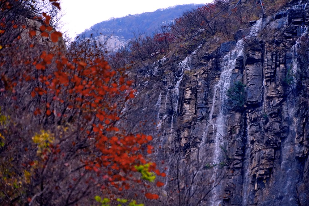 孫環(huán)高 《如畫(huà)》.JPG