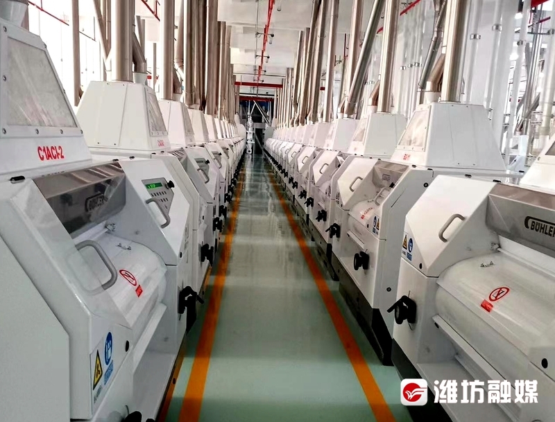 b6b25982201e3fab8cf447bd66a93a39