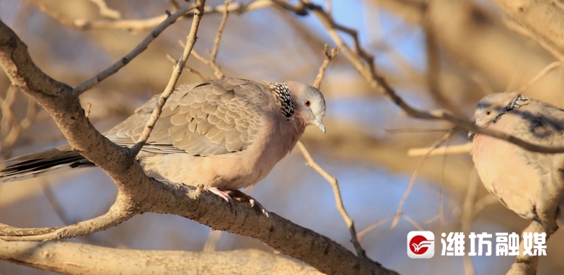 c0cab5c84e762c996d23b282c2088529